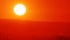 Sole