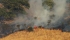 Attività antincendi