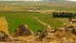 Panorama delle campagne di Ortacesus