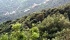 Marrubiu, Monte Arci