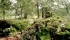 Inforesta