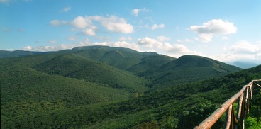 Foresta Campidano: sentiero che sale a Bruncu Mogumu