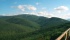 Foresta Campidano: sentiero che sale a Bruncu Mogumu