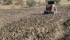 Utilizzo dei fanghi in agricoltura