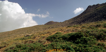 Suolo