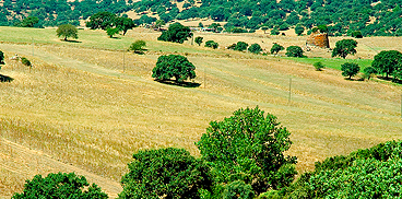 Argomenti