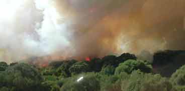 incendio nelle campagne di Samugheo
