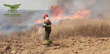operatore antincendio del Corpo forestale