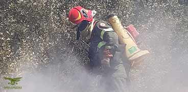 operatore antincendio del Corpo forestale 3