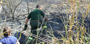 Agenti del corpo forestale impegnati nello spegnimento