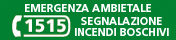 Banner emergenza ambientale