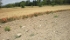 prescrizioni antincendio 2011