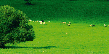 paesaggio