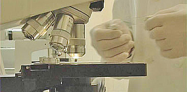 laboratorio