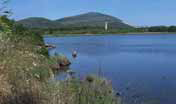 stagno calich stagno calich