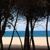 Patrizia Figus - Oltre gli alberi, oltre la spiaggia