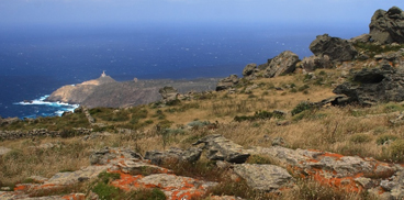 Torre della Pegna e punta Cristallo