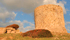 Planargia, torre Argentina