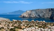 Cala Domestica, gregge di pecore  