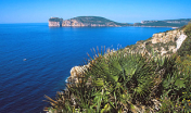 Capo Caccia - Isola Piana 