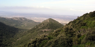 Monte Arci