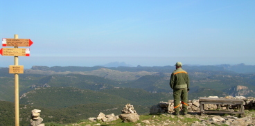 Foreste Aperte, vista da uno dei sentieri escursionistici a Montarbu (seui)