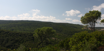 vista dalla sede del complesso forestale di usellus