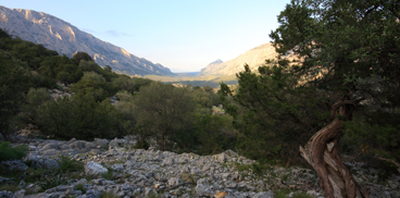 Panorama sulla Valle di Lanaittu, dal sentiero di Su Tinzosu. Il toponimo lanaittu significa “lana fitta” in riferimento alla foltissima e impenetrabile copertura boscosa che, prima dell’intervento de