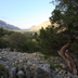Panorama sulla Valle di Lanaittu, dal sentiero di Su Tinzosu. Il toponimo lanaittu significa “lana fitta” in riferimento alla foltissima e impenetrabile copertura boscosa che, prima dell’intervento de