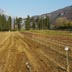 Il vivaio presso il centro di Peri
