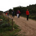 Nordik Walking a Berchidda, Limbara Sud: questo sport è praticabile in Foresta