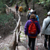 Nordik Walking: anche a Montarbu questo sport è stato praticato in foresta