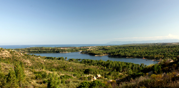 panorama del perimetro forestale dal monte Bidderosa