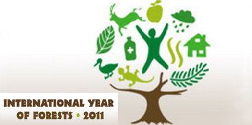 anno internazionale delle foreste