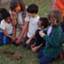 Educazione Ambientale  - foto 7