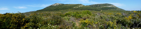 panoramica Monte Doglia