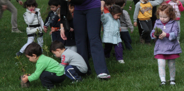 scelta delle piantine: l'epilogo della giornata dell'Albero vede i bambini impegnati a scegliere la piantina da accudire a casa