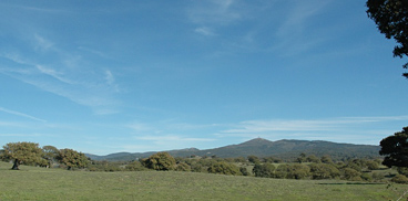 scorcio del territorio forestale di Monte Artu  - foto in Sardegna Digital Library