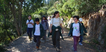 Bambini in foresta, attività di Educazione Ambientale