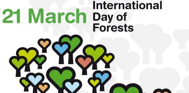 Giornata mondiale delle foreste, 21 marzo 2015