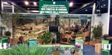 Stand Ente Foreste alla Fiera di Cagliari 2015