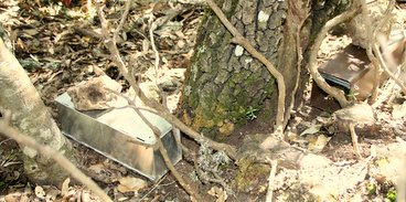 Foto delle trappole usate per lo studio in bosco