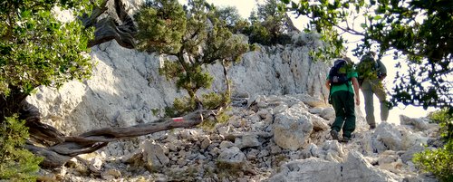scorcio del sentiero escursionistico sul monte Tiscali