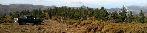 panorama del cantiere forestale