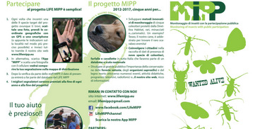 progetto  MIPP