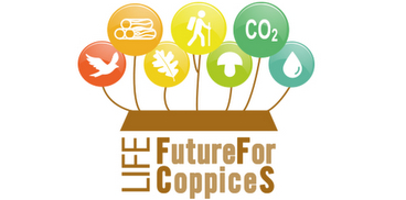 Future for coppices