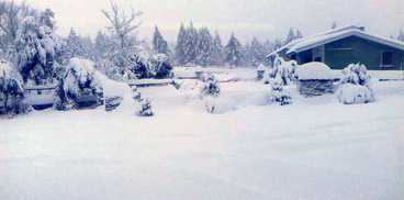 neve presso cantiere forestale Crastazza (Bitti)