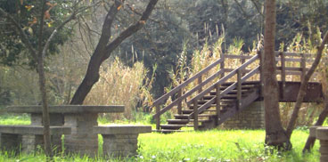 Scorcio del parco Marrogali in autunno