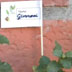 Piantine del Progetto 