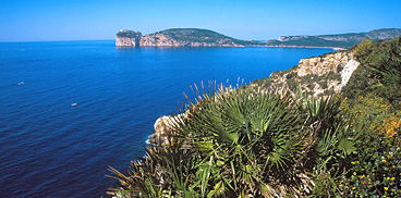 Area marina protetta Capo Caccia - Isola Piana